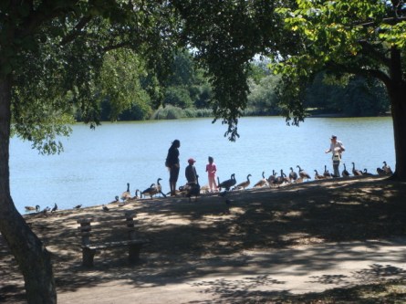 Prospect Park Lake 1