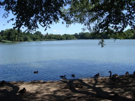 Prospect Park Lake 2