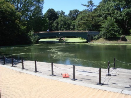 Audubon Center area