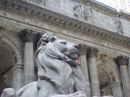 New York Public Library Lion