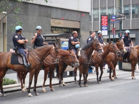 Cops and horses