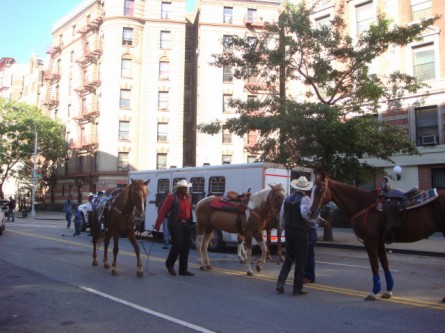 20070916-african-american-parade-25-horses.jpg