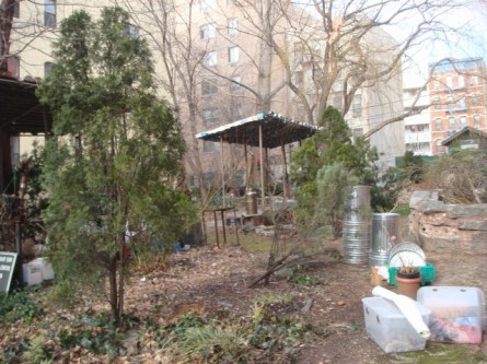 20080113-lower-east-side-ecology-center-garden-03.jpg