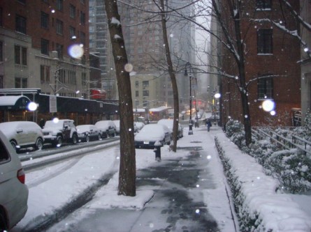 20080222-snowfall-01.jpg