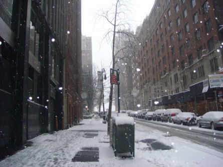 20080222-snowfall-02.jpg